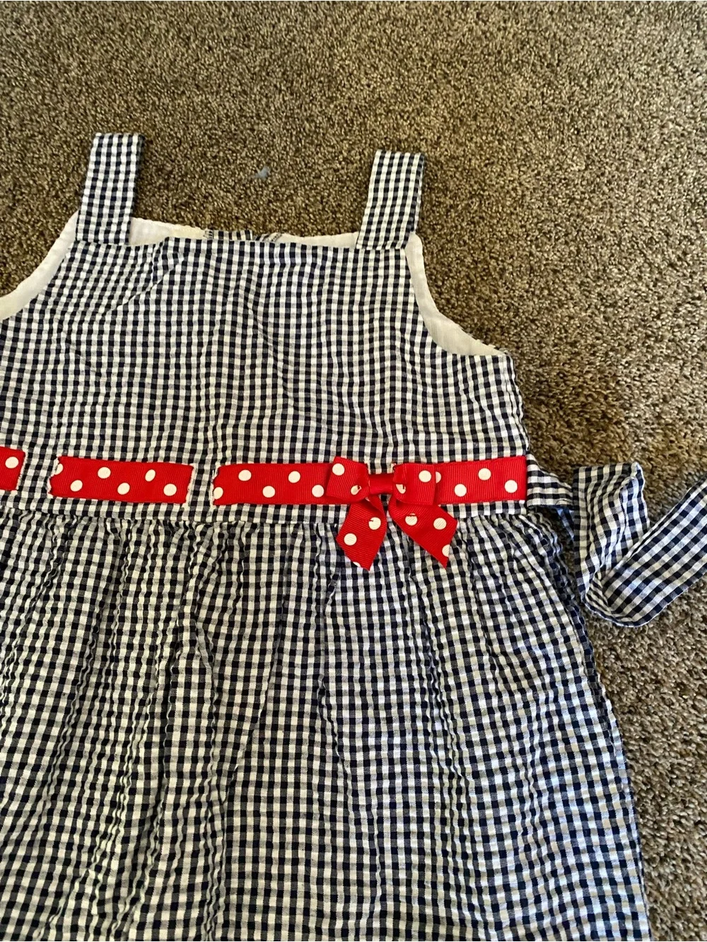 Girl’s Ladybug Gingham Dress